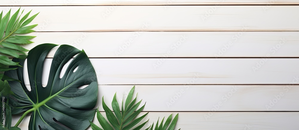 Aufkleber a summer-themed image featuring a green tropical monstera leaf on a white wooden table with a blank 