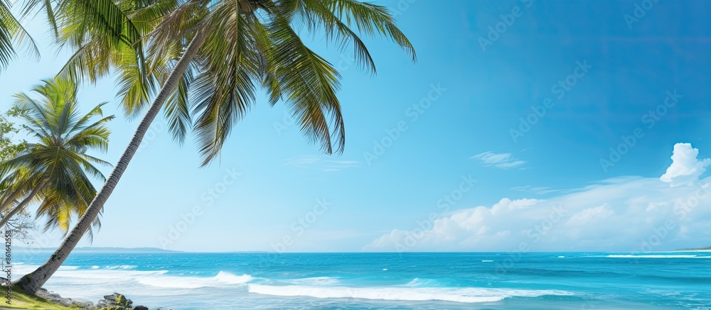 Aufkleber Coconut palm trees by the seaside with a view of the ocean, providing copy space for your text.