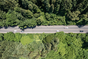 ドローン撮影：木に囲まれた、車が走る道路の俯瞰画像
