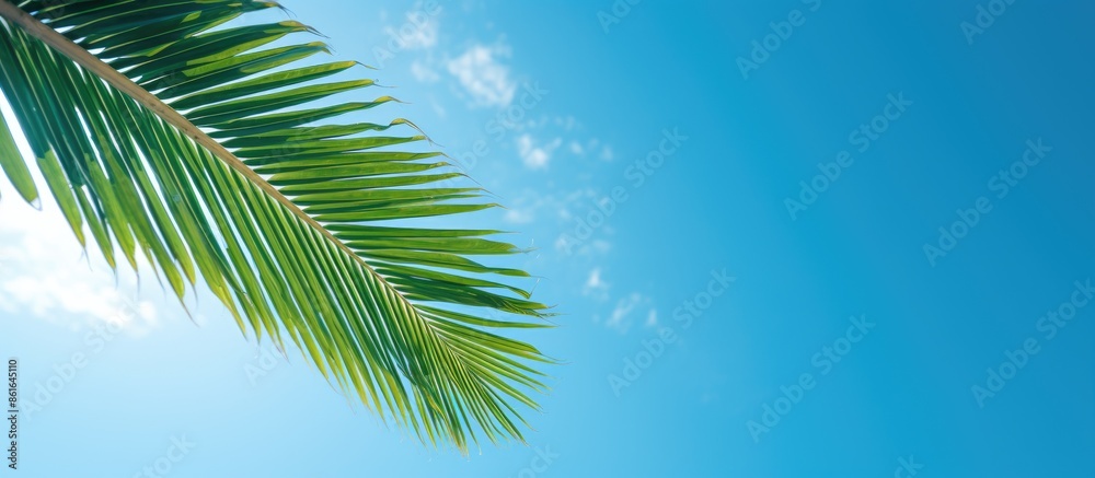 Aufkleber tropical beach vacation concept with a scenic overhead view of a coconut leaf against a blue sky, id