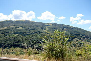 On the hillside, trees and grass grow, framed by distant mountains. The scene includes the sky, clouds, and a natural landscape of terrestrial plants Abruzzo national park