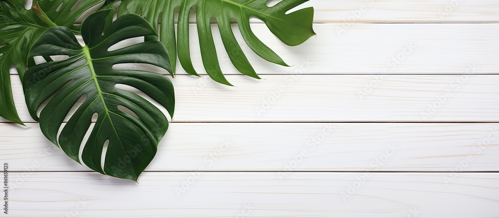 Aufkleber a summer-themed image featuring a green tropical monstera leaf on a white wooden table with a blank 