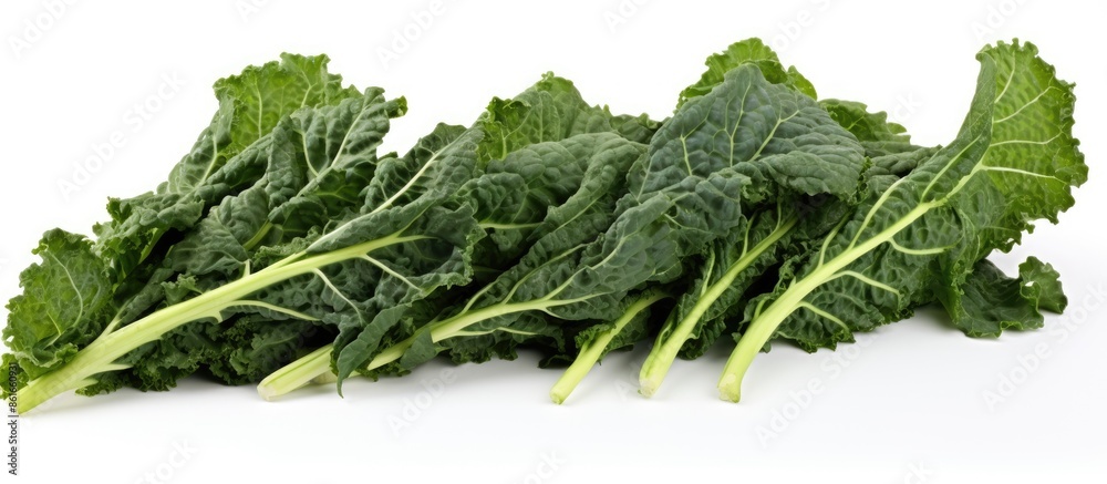 Aufkleber Fresh kale leaves arranged with a white background for copy space image.