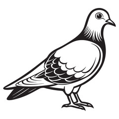 Pigeon Silhouettes vector illustration