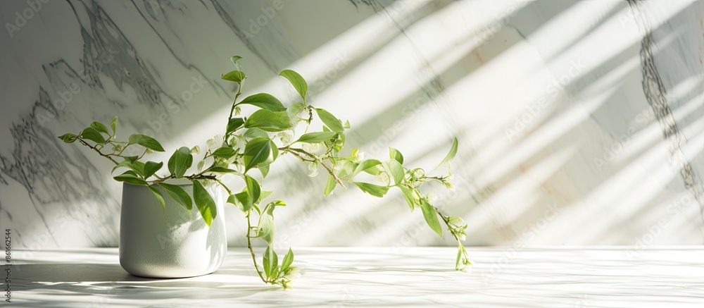 Aufkleber copy space image of spring sunlight filtering through green branches onto a white marble tile wall a
