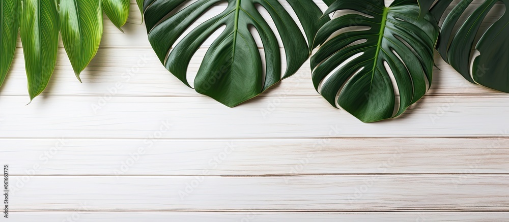 Aufkleber a summer-themed image featuring a green tropical monstera leaf on a white wooden table with a blank 