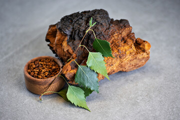 Chaga mushroom pieces with birch leaves on a gray background.
