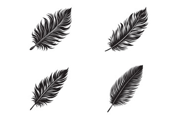 Obraz premium Feather line art vector illustration set, minimalist feather design