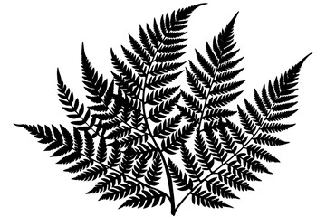 Fern leaf silhouette vector