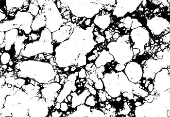 Black and White Marble Stone Vector Texture