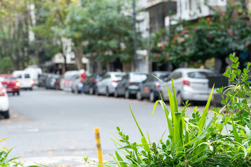 Carros parqueados en la calle