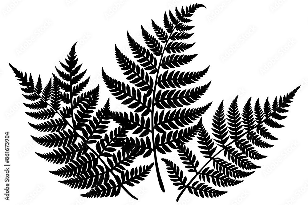 Sticker Silhouette of a forest fern leaf