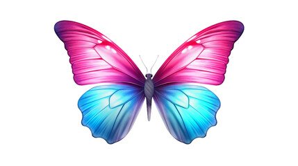 Obraz premium butterfly isolated on white background