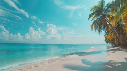 serene tropical beach with palm trees and turquoise water copy space background