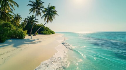 Pristine white sands and crystal-clear waters define this serene beach,  bordered by swaying palm trees