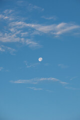 moon in the morning. sky 