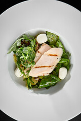 Healthy Grilled Chicken and Mozzarella Salad in White Plate