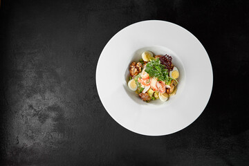 Fresh Crab Salad with Egg and Vegetables in White Bowl on Dark Background