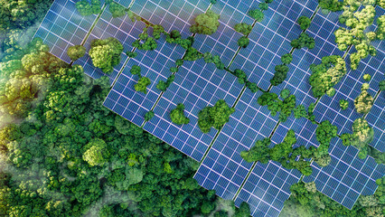 Solar panels installed in the green forest Clean alternative energy concept. Environment, solar...