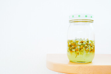 白背景に薄黄色のジャーマンカモミールの花の手作り天然酵母液