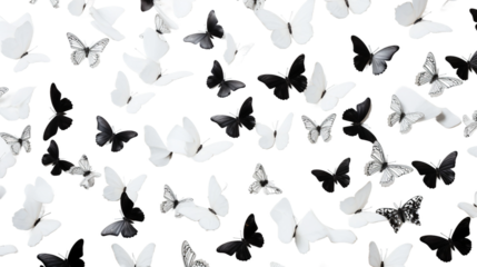 butterfly pattern