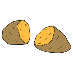 baked sweet potato illustration hand drawn isolated vector