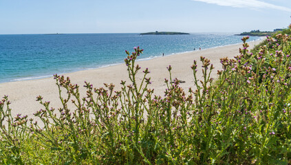 Plage de Tahiti bei Névez in der Bretange