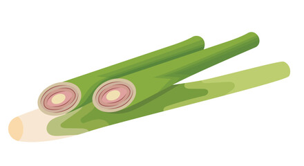 Lemongrass Herb Sliced Illustration