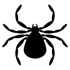 Spider icon, black widow silhouette. Halloween animal symbol, arachnid sign, bug pictogram, spider icon isolated