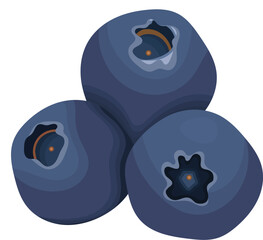 Blueberry Fruits Vector Illustration