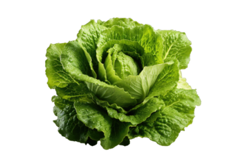 I Love Lettuce (JPG 300Dpi 10800x7200)