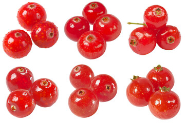 Realistic photo illustration of Cranberry, isolated on transparent background