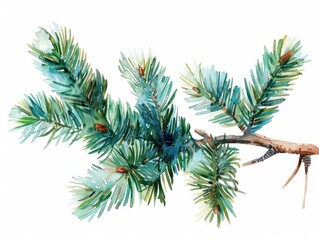 Obraz premium Realistic watercolor illustration of a pine tree branch. Suitable for nature-themed designs