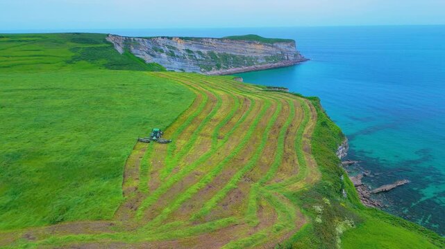 Tractor mowing the grass in the area of ​​Punta Ballota on the coast of Tagle. Aerial view from a drone. Arnuero Municipality. Cantabrian Sea. Cantabria. Spain. Europe