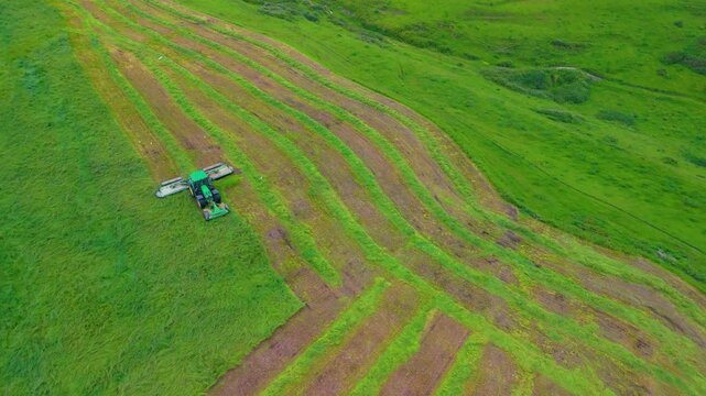 Tractor mowing the grass in the area of ​​Punta Ballota on the coast of Tagle. Aerial view from a drone. Arnuero Municipality. Cantabrian Sea. Cantabria. Spain. Europe