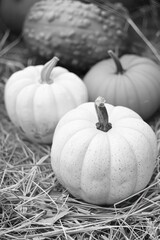Three pumpkins are sitting on a hay bale. The pumpkins are white and have brown stems. The hay bale is brown and has a few leaves on it. The scene is simple and peaceful, with the pumpkins