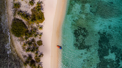 Tropical Beach from Above