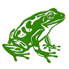 illustration of frog isolated on transparent  background.