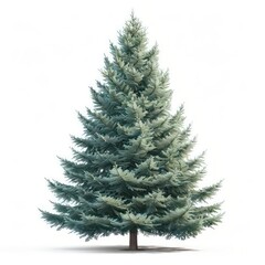 Obraz premium A classic spruce tree with dense, bluegreen needles and a conical shape isolated on a white background