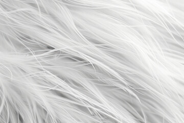 Fototapeta premium Generative ai on theme of beautiful texture bird feather for design natural abstract background