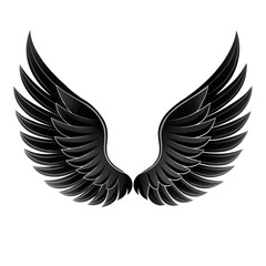 Obraz premium black angel wing on transparent background