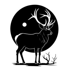 Deer standing at night