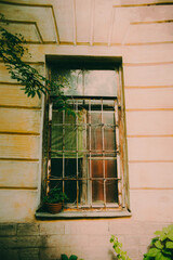 The window of an old house with a potted plant sitting on the sill on a summer's day. The atmosphere of cozy courtyards and travel.