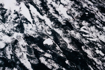 black and white background