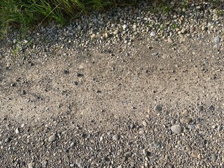 tracks in the sand