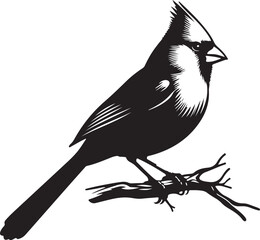 Bird  silhouette vector illustration