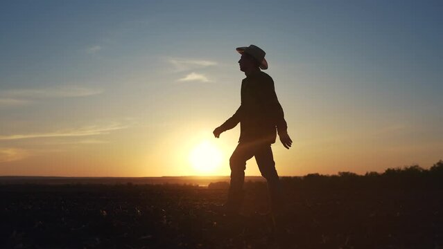 Agriculture. Silhouette of a farmer walking in the field. Landscape fresh harvest concept. Farmer walks through the soils. Silhouette of farmer walking through the field in lifestyle soild soil.
