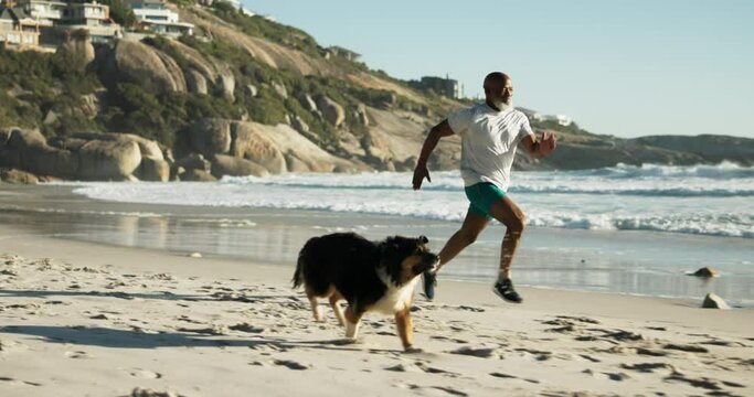 Fitness, running and man with dog by beach for race, workout or marathon training with health. Sports, pet and mature African male athlete by tropical ocean or sea for cardio exercise with puppy.