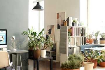 Background image of cozy contemporary office interior decorated with various green potted plants and lit by sunlight, no people, copy space