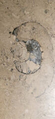 marbre design as stone texture for decoration